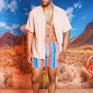 Venice Striped Swim Trunks